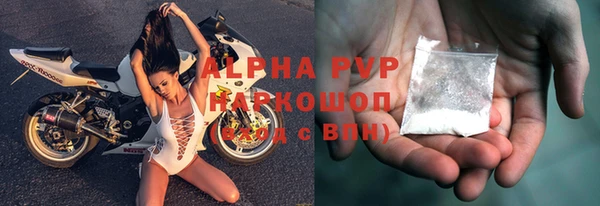 прущие грибы Вязьма
