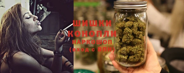 ГАЛЛЮЦИНОГЕННЫЕ ГРИБЫ Вязники