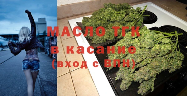 гашик Вяземский
