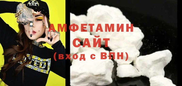 прущие грибы Вязьма