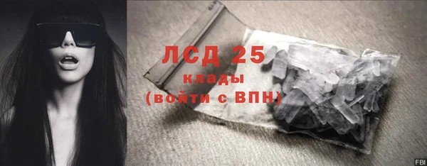 ГАЛЛЮЦИНОГЕННЫЕ ГРИБЫ Вязники