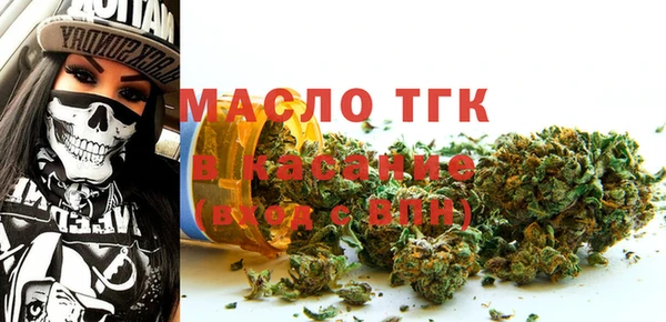 гашик Вяземский