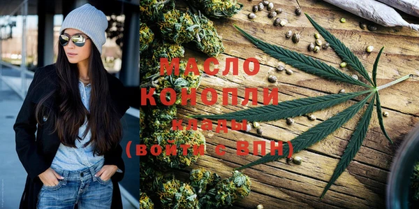 гашик Вяземский