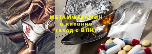 гашик Вяземский