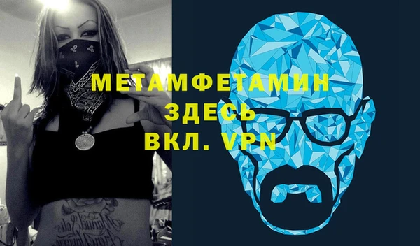 прущие грибы Вязьма