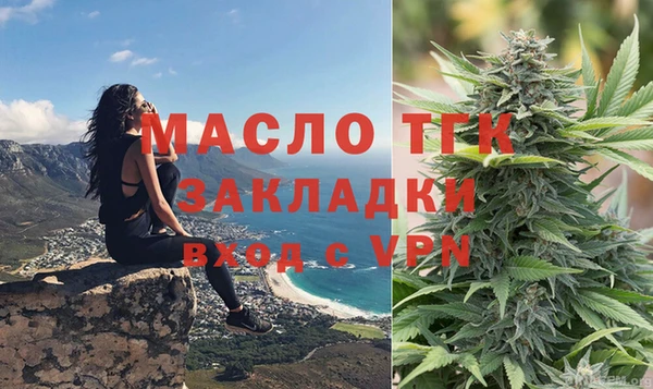 гашик Вяземский