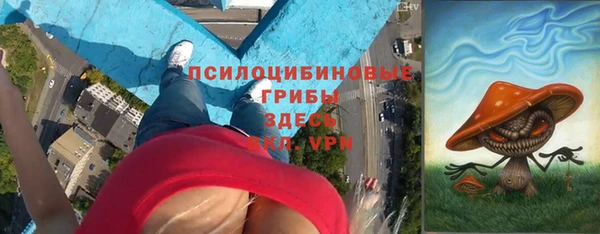 СК Фурманов
