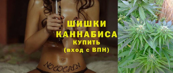прущие грибы Вязьма