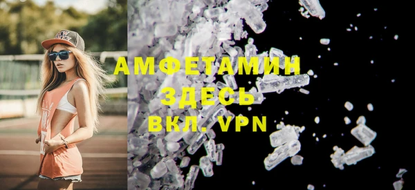 гашик Вяземский