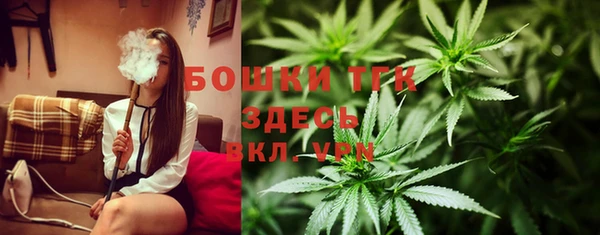 ГАЛЛЮЦИНОГЕННЫЕ ГРИБЫ Вязники
