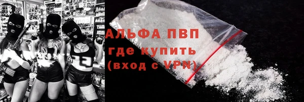гашик Вяземский