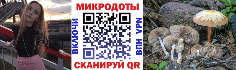 MEGA ONION  Оха  Галлюциногенные грибы Psilocybe 